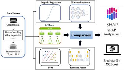 Decoding Wilson disease: a machine learning approach to predict neurological symptoms
